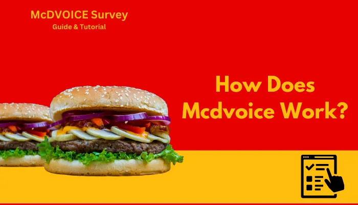 How Does Mcdvoice Work?